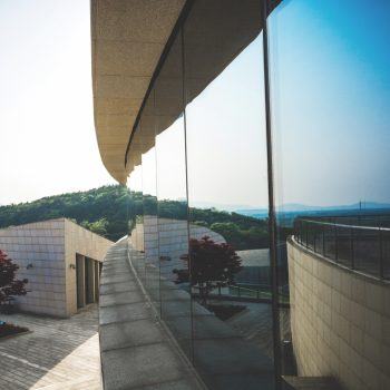 WhatsApp Image 2024-11-19 at 19.00.43